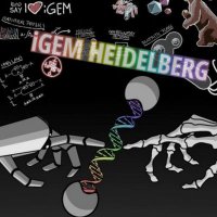 iGEM Heidelberg 2021 (@igemhd) 's Twitter Profile
