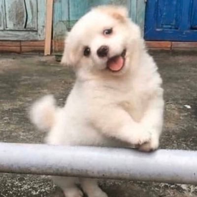 LittleSmile_mh's profile picture. ▼・ᴥ・▼ #워너원 #황민현 #김재환