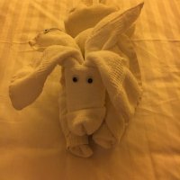 Carole Mangum (@csquared651) 's Twitter Profile