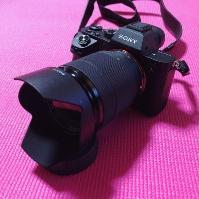 愛機 SONY α7Ⅱ 復活！。また、写活始めます！。みなさんよろしくお願いします。