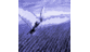 abellind's profile image