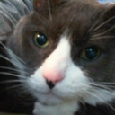 Laurel Palmer - @LLPBucks - Twitter