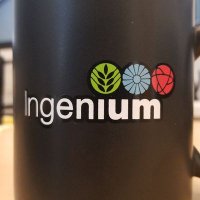 Ingenium Protection Services(@IngeniumProtec1) 's Twitter Profile Photo
