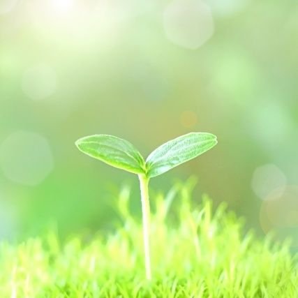 FUTURESCHOOLPRJ's profile picture. 不本意な不登校、子どもの精神疾患・自殺者数の増加をみんなで防ぎましょう！
子どもが安心して自発的に学び、持って生まれた能力を十分に発揮できる！そんな教育環境を目指しています。
🧒いじめ・不適切指導対策、未来型の学校普及活動🙆