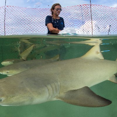 Wild experiments of inter individual variation in behaviour, on animals with sharp teeth. Preferred water t°: 28°C (will work in frozen t° for food). She/her