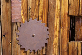 dpwitte's profile picture. 