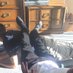 soumis au pieds de mec🥰 (@aupieddumaitre) Twitter profile photo soumis au pieds de mec🥰 (@aupieddumaitre) Twitter profile photo