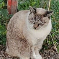 ♥きよぽん♥ (@kiyokimpon) 's Twitter Profile