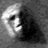 JWMinardi's profile image