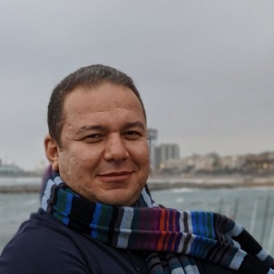 Geek, techy,consultant, x-developer, Egyptian, curious, knows two facts about ducks .....