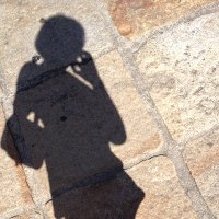 Lucy Proctor (@lucyproctor) 's Twitter Profile