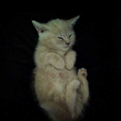 Achu_c0817's profile picture. 