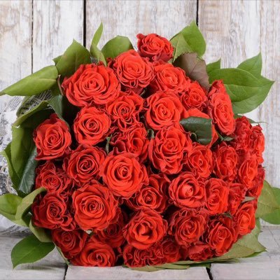 rMCDhRYEm6LzQPw's profile picture. 