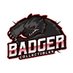 Badger Collectibles (@badgercoll) Twitter profile photo