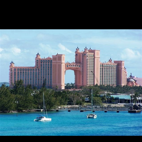 Tonio2003's profile picture. 