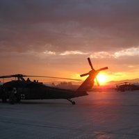 Airborne RxDr (@airbornerxdr) 's Twitter Profile Photo Airborne RxDr (@airbornerxdr) 's Twitter Profile Photo