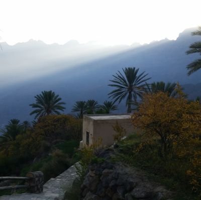 alkhruse's profile picture. ‏‏‏‏كلام الناس كالغبار إن لم ينفع وقع فيداس بالتراب