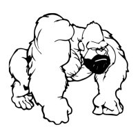 thebeardedgorillas (@beardedgorillas) 's Twitter Profile Photo thebeardedgorillas (@beardedgorillas) 's Twitter Profile Photo