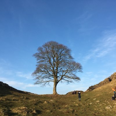 bainofmylife's profile picture. person of talents still to be revealed