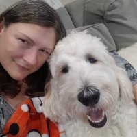 Erica Shreeve (@ericashreeve) 's Twitter Profile