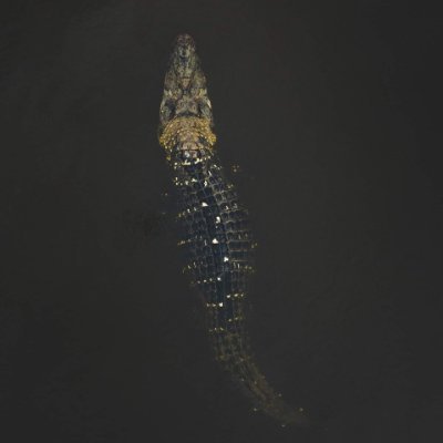 Oti_clk's profile picture. Lord and Master