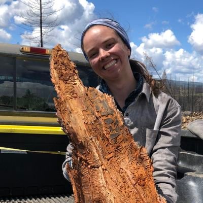 PhD Candidate @ubcforestry & @ubc_FIDEL studying bark beetles 🐞 wildfire 🔥 and climate change 🌎 Alumni @EarthSciStA