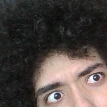 afroquebins's profile picture. Ilustrador Freelancer - Procrastinador profesional
Vivan los cactus y las iguanas.