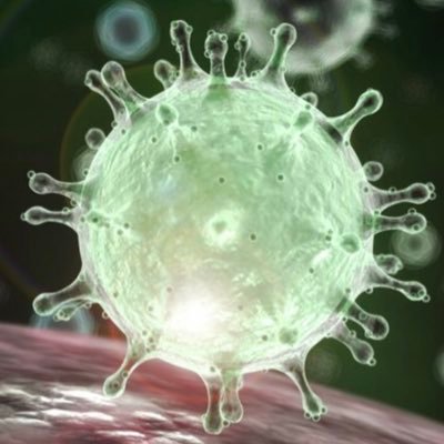 Coronageddon1's profile picture. We’ve been following this virus since Wuhan. Trying to keep it truthful, because there’s a lot of crap out there. Wash your hands.