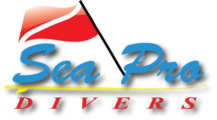 Dive into the world of the Sea Pro's and discover endless fun and excitement with the biggest variety in water sports provided by one single company.