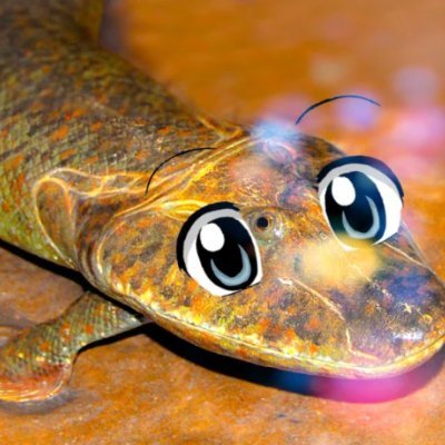 xTiKtAaLiCx's profile picture. Strike first
Strike hard
No mercy