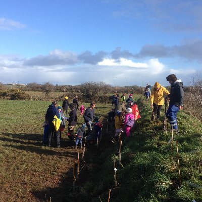 We are Goonown Growers - a community market garden for St Agnes and the surrounding area.