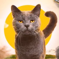 Be Curious Ⓜ️ (@becuriousarabi) Twitter profile photo