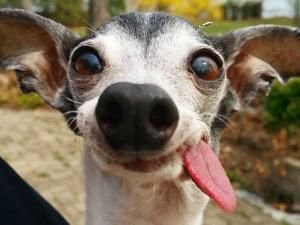 xaviouse's profile picture. 