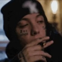 Shinowowoo's profile picture. 