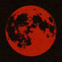 Buffalo Fuzz (@buffalofuzz) 's Twitter Profile