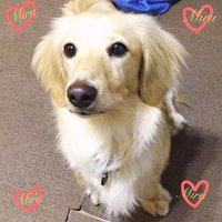 ミルコー (@miruko8329) 's Twitter Profile