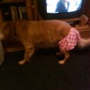 Maggie Padgett - @MaggiePadgett - Twitter