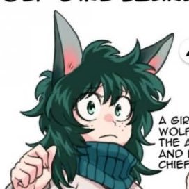Izuki Midoriya ~Izuku’s Twin~さんのプロフィール画像