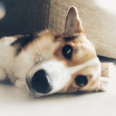 miki_hau's profile picture. 