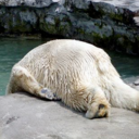 Marc Muchnick - @Breadman928 - Twitter