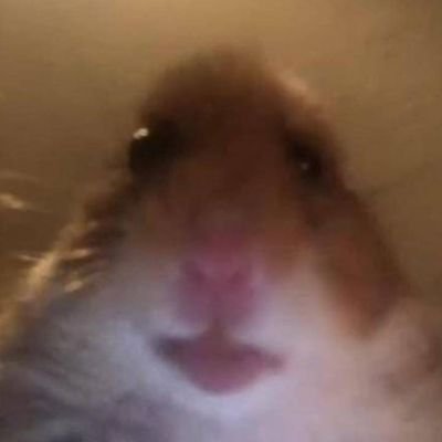 Gabriel09958391's profile picture. 