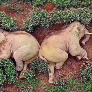 SSpenceMB's profile picture. epiphenomenologist