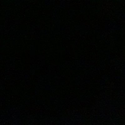 amazingperson17's profile picture. future cybertruck owner