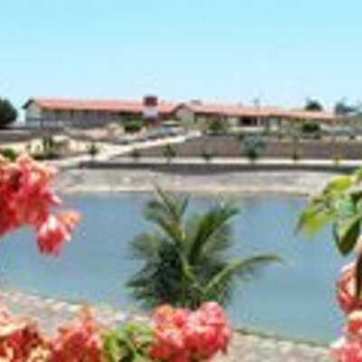Macajuba Bahia fonte: pbs.twimg.com