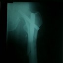 Gerardo Ceballos - @tatodoc - Twitter