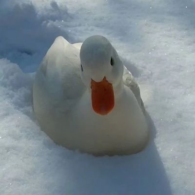 LMさんのプロフィール画像