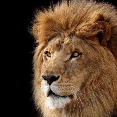 Getshine228's profile picture. 蹦得儿你个蹦得儿