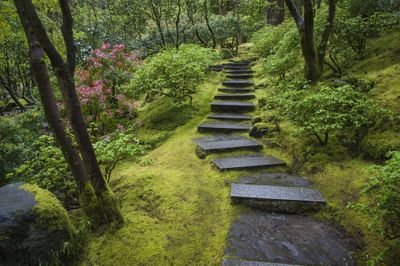 Investor, gamer, gardener, hiker