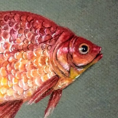 fishspiceさんのプロフィール画像