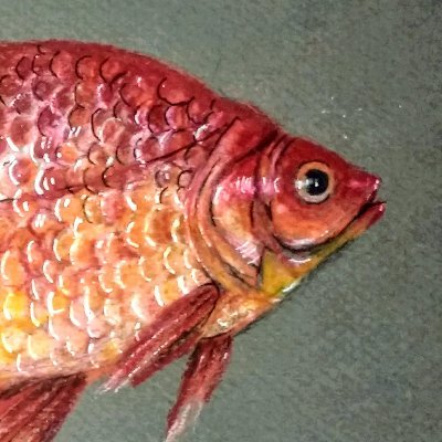 An artist that is a fish (I also write). Send business inquiries to: fishspiceart@gmail.com